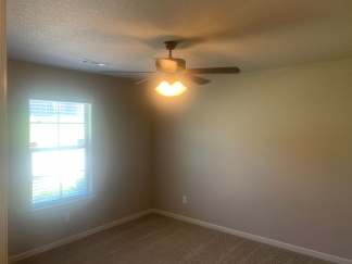 Solar Powered 4BR with Bonus Floor in Centerton