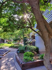 Stylish 1 Bed Condo in Desirable Gated Community: Experience Luxury Living!