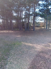 100 Creekside Trl