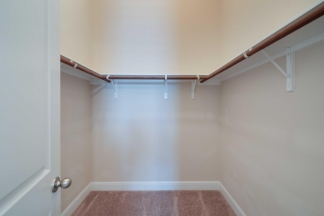 3825 Vinalopo Drive - Green Team