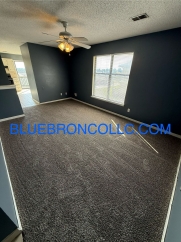 Cute 2 bedroom 1 bathroom home with a 1 car garage