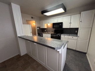 Coming Soon! Greenwood House 3 Bed 1.5 Bath with LARGE BACKYARD!