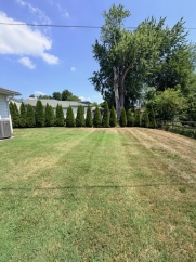 Neal - 2303 Katherine Avenue