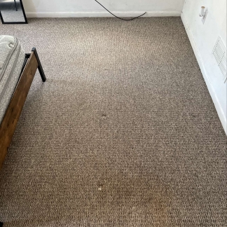 UDEL STUDENT RENTAL - 129-1/2 East Cleveland Avenue