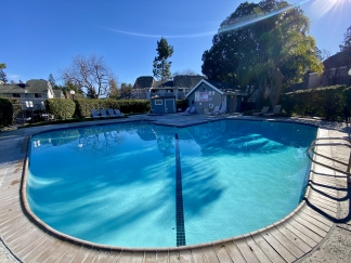 Modern 2BR Condo with Vaulted Ceilings & Amenities