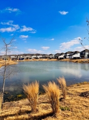 Fantastic Newly Built 4 Bed Smart-Home Fayetteville! 4 Miles to UofA Campus!