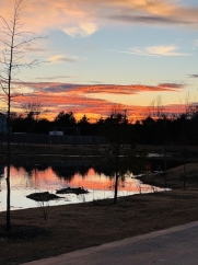 Fantastic Newly Built 4 Bed Smart-Home Fayetteville! 4 Miles to UofA Campus!