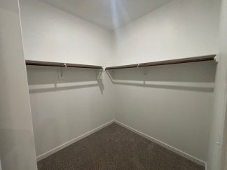 Fantastic Newly Built 4 Bed Smart-Home Fayetteville! 4 Miles to UofA Campus!