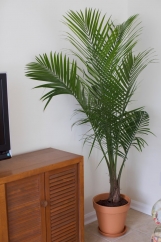 Move-In Ready! Fully Furnished 3-Bedroom, 2.5-Bath Home – Just Bring Your Suitcase!