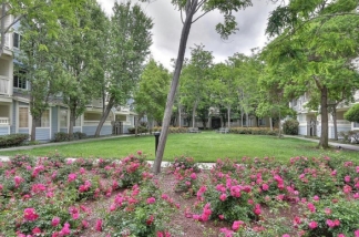 Spacious 1 Bedroom Sunnyvale Condo! Open Living Ground Level Unit!