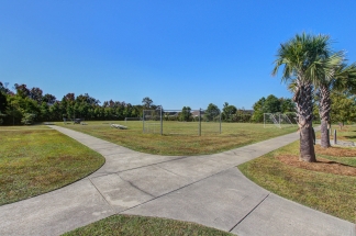 111 Meadowvale Ln - Available Now!