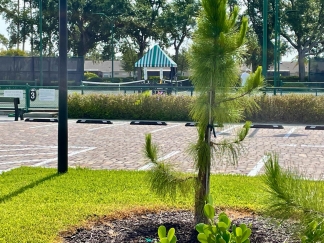 Spacious, first-floor, end-unit condominium for rent in luxurious Heritage Oaks. 2bed, 2bath, den, garage.