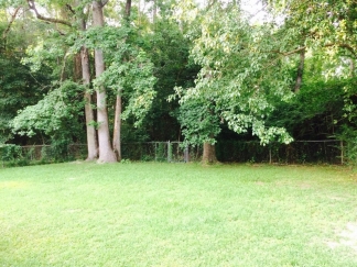 Cozy Cottage Available!