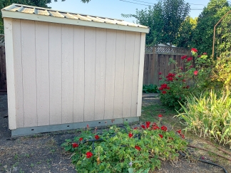 Charming Single Level Home in Wilcox Neighborhood!