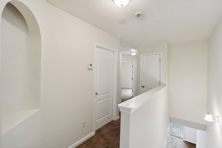 1726 Old Dogwood