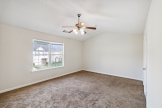 1726 Old Dogwood