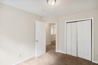1726 Old Dogwood