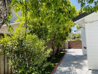 A beautiful 3-bedroom, 2-bathroom home that will be available for move
