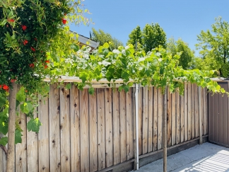 A beautiful 3-bedroom, 2-bathroom home that will be available for move