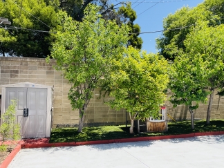 A beautiful 3-bedroom, 2-bathroom home that will be available for move