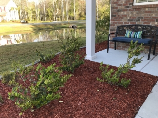 Upgraded 5BR Home in Tupelo with Pond Views