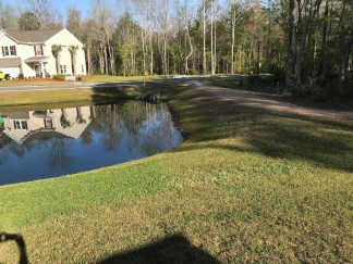 Upgraded 5BR Home in Tupelo with Pond Views