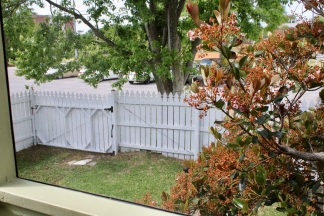 Home in the Heart of Old Mount Pleasant – Unbeatable Location!