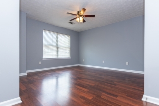 Stone Trace, 4123