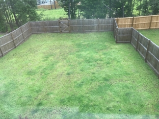 Beautiful Home in Coosaw Preserve with Fenced in Yard!