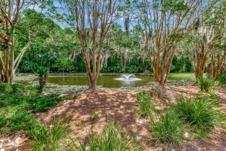 Charming Home in Whitney Lake
