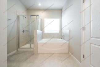 Stunning 4-Bedroom Home in Villages of Westfield