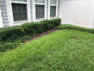 Move in Ready Town House in Charleston Park!