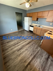 Updated 2-Bedroom Apartment in Raytowm