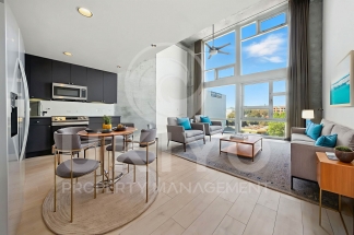311 Oak Street #515
