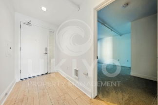 311 Oak Street #515