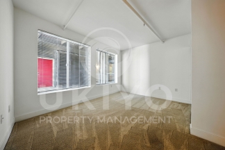 311 Oak Street #515