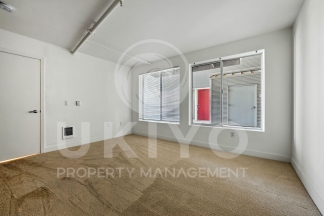 311 Oak Street #515