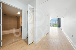311 Oak Street #515