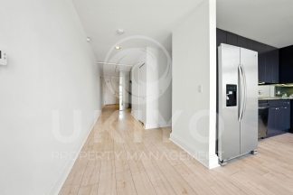 311 Oak Street #515