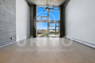 311 Oak Street #515