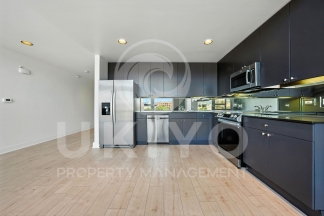 311 Oak Street #515