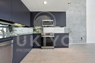 311 Oak Street #515
