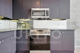 311 Oak Street #515