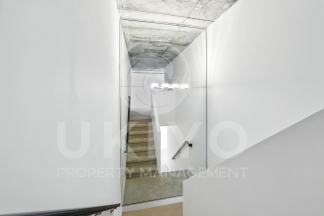 311 Oak Street #515
