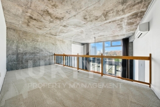 311 Oak Street #515