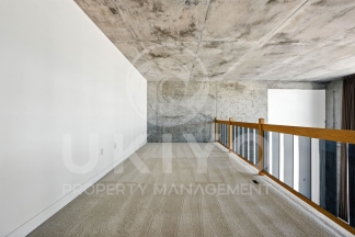 311 Oak Street #515