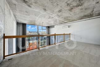 311 Oak Street #515