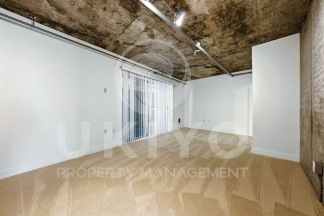311 Oak Street #515