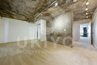 311 Oak Street #515