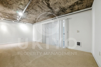311 Oak Street #515